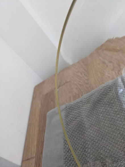 Photo of free glass cloche (New Cross SE14) #2