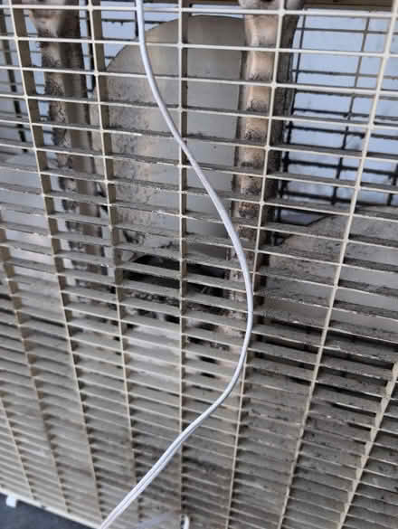 Photo of free Lakewood Floor Fan (El Cerrito) #4
