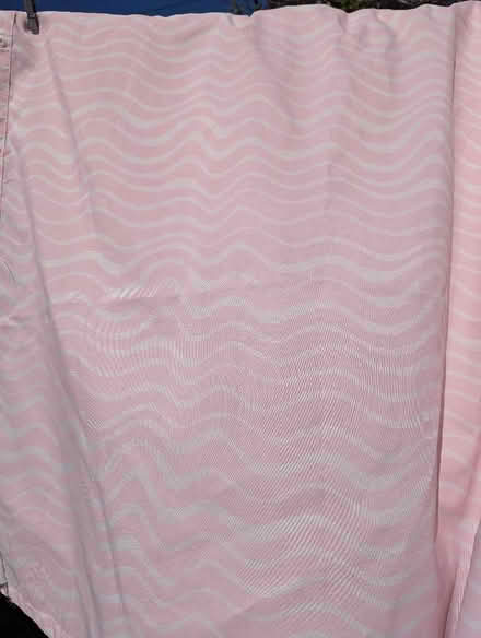 Photo of free Shower curtain (Craiglockhart EH14) #1