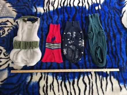 Photo of free Pet Clothing (West 7th) #3