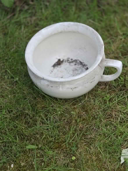 Photo of free Chamber pots/ plant pot (SG17 shefford beds) #2
