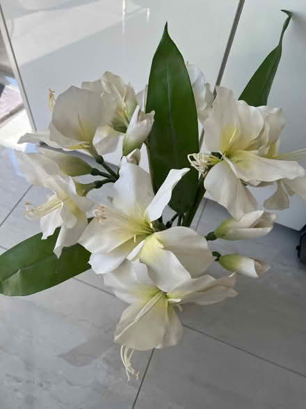 Photo of free Silk lilies (Locks Heath SO31) #2