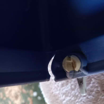 Photo of free Pet Carrier (Lexden CO3) #3