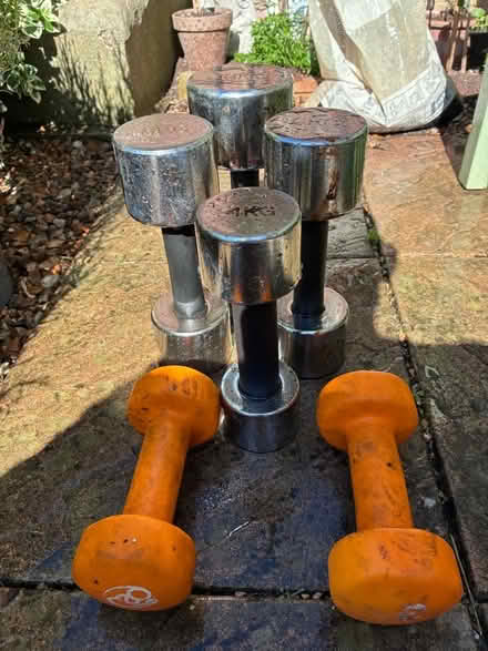 Photo of free Dumbbells (South Norwood SE25) #1