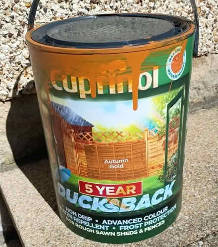 Photo of free Garden fence/hut painting equipment & paint (Leslie KY6) #3