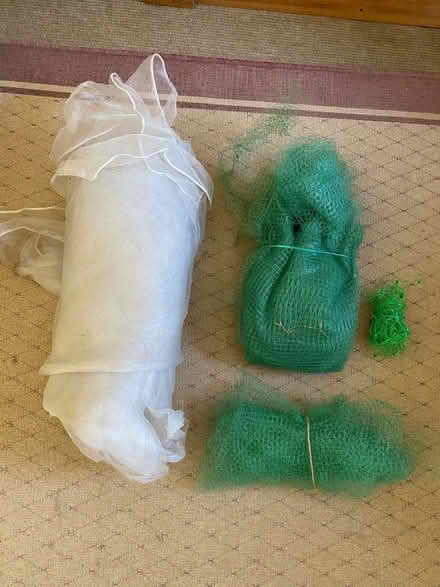 Photo of free Netting for crop protection (Patcham BN1) #1