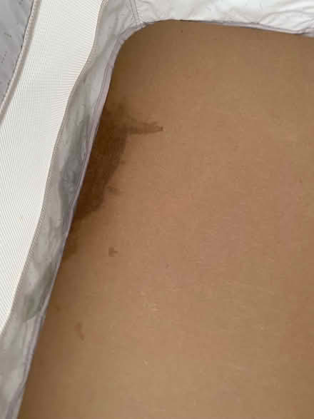 Photo of free Chicco Next to me Crib (Jersey Farm AL4) #3