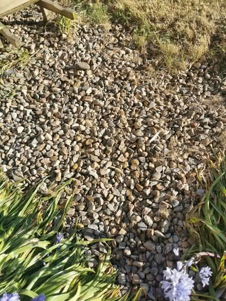 Photo of Garden Gravel (Washington NE38) #1
