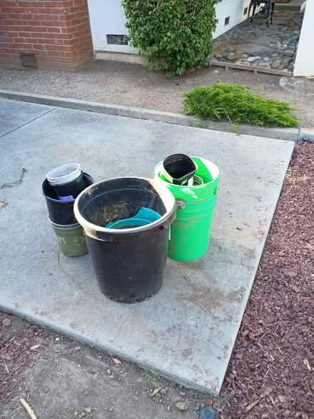 Photo of free Pots (Birdland) #1