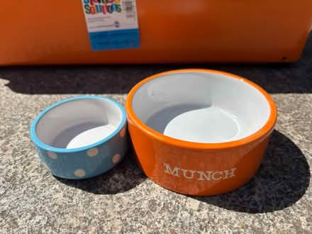 Photo of free Pet bowls (Whitchurch CF14) #1