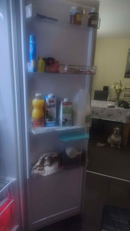 Photo of free Beko large larder fridge (Gorgie EH11) #2