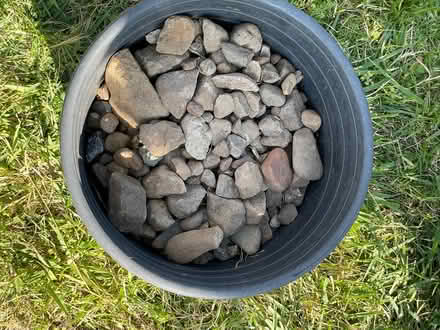 Photo of free A 5 gallons of rocks (Near De Anza College) #1
