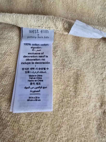 Photo of free Lion Bath Wrap (West 7th) #4
