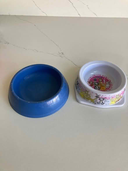 Photo of free Cat bowls #2 (Noctorum CH43) #1