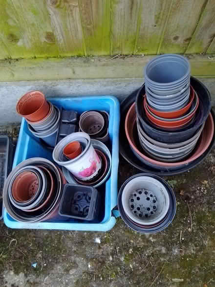 Photo of free Plant pots (ME16 off Buckland Hill) #1