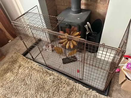 Photo of free Fire guard (Markfield LE67) #1