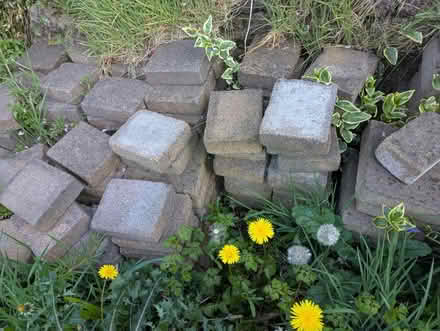 Photo of free Paving tiles (Carryduff BT8) #1