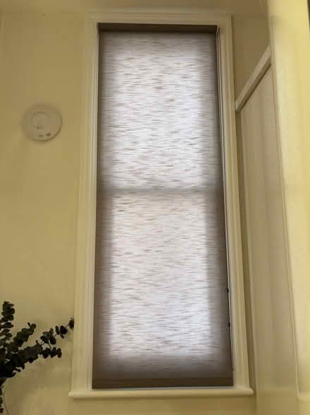 Photo of free Roller blind (Emlyn Gardens W4) #2