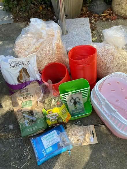 Photo of free Guinea pig/ small pet items (DE56 belper) #1