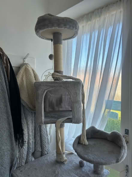 Photo of free Tall cat scratch post -sleep pod (Ratby Leicester LE6 thanks) #2