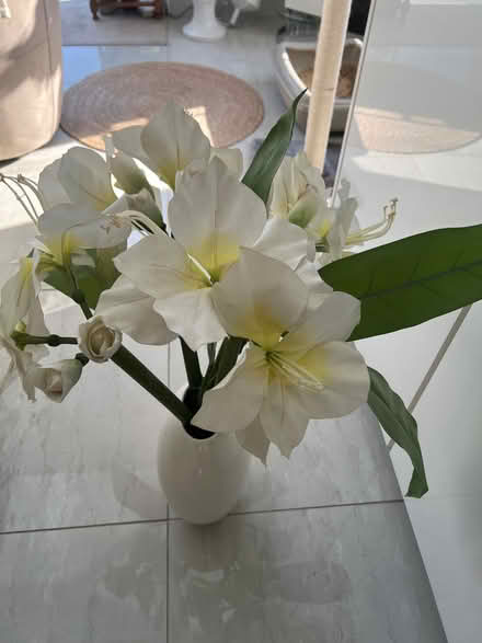 Photo of free Silk lilies (Locks Heath SO31) #1