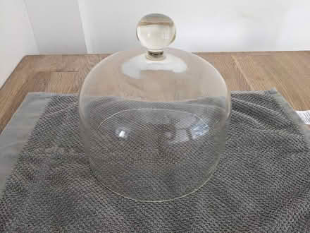 Photo of free glass cloche (New Cross SE14) #1