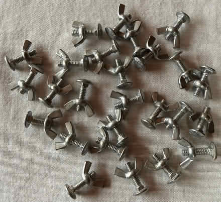 Photo of free Wingnuts (Amherst) #1