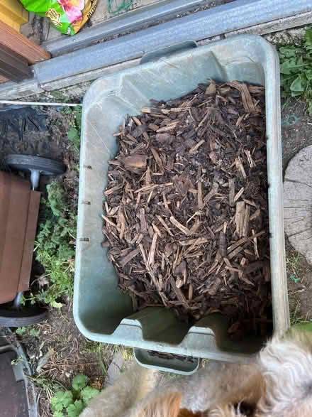 Photo of free Bark (Thame OX9) #2