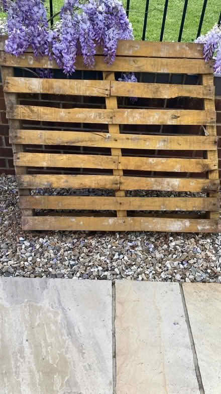 Photo of free Pallet (Cam GL11) #1