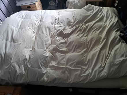 Photo of free Feather mattress topper (Heath) #1