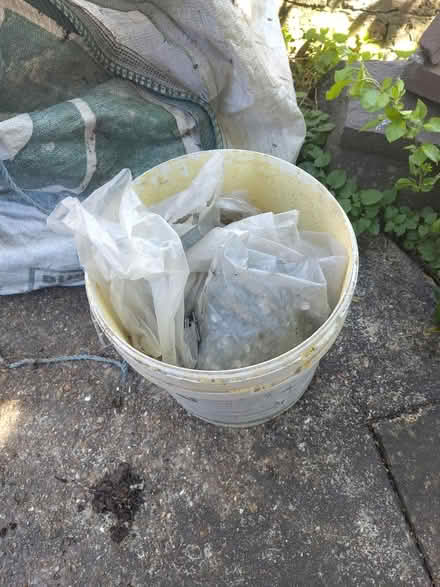Photo of free Big bucket of nails (Fiveways, Brighton) #1