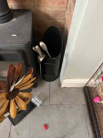 Photo of free Fire guard (Markfield LE67) #3