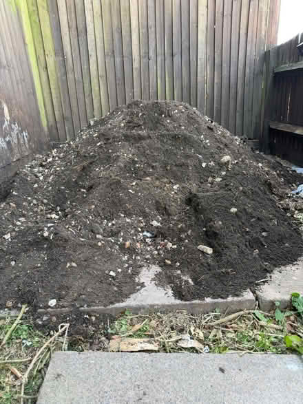 Photo of free Soil (Brighton BN2) #1