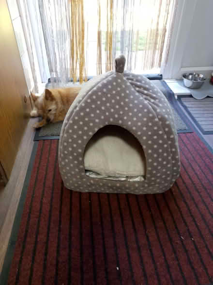 Photo of free Cat basket (Waltham Abbey EN8) #1