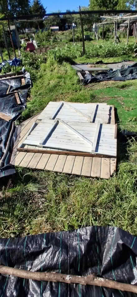 Photo of free Small shed for allotment (Carshalton, SM5) #2