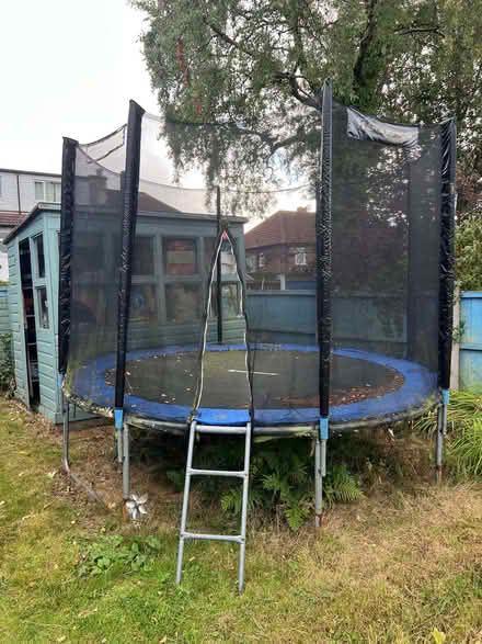 Photo of free trampoline, about 16ft diametre with net and ladder (Aigburth L19) #1