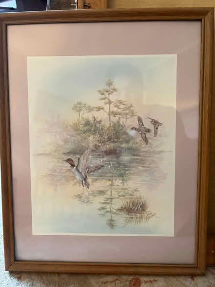 Photo of free Signed Anni Moller Waterfowl Prints (Belmont, MA) #1