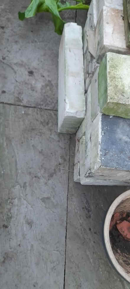 Photo of free Building blocks. (Welling DA16) #2