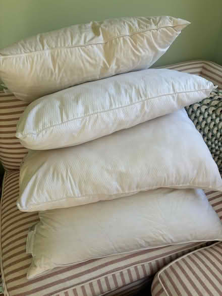 Photo of free Pillows (South Kensington W8) #1