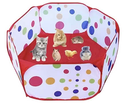 Photo of free Pop up play pen for small animals (De561ej belper) #1
