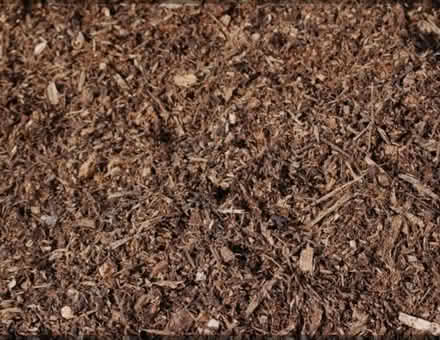 Photo of Woodchip (Wells BA5) #1