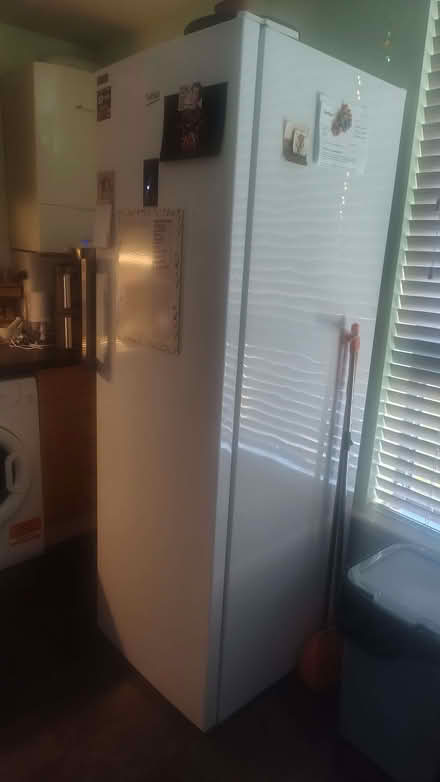 Photo of free Beko large larder fridge (Gorgie EH11) #1