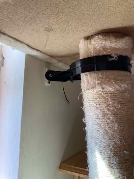 Photo of free Very tall cat tree (M14 Longsight) #2