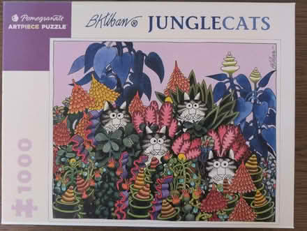 Photo of free 1000 & 500 piece cat puzzles (El Cerrito) #2