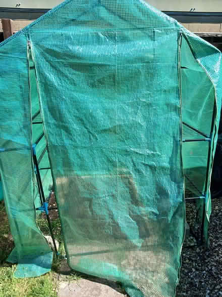Photo of free 6x6 green house (Moorfields BA2) #2