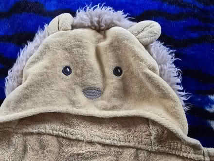 Photo of free Lion Bath Wrap (West 7th) #3