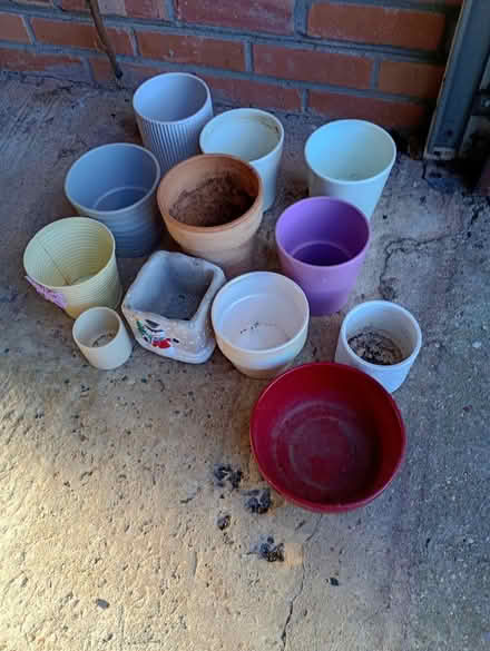 Photo of free A selection of plant pot covers (Elmstead Market CO77AJ) #1