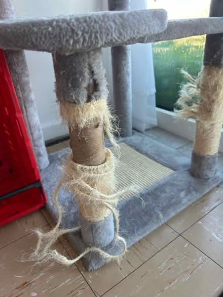 Photo of free Tall cat scratch post -sleep pod (Ratby Leicester LE6 thanks) #4