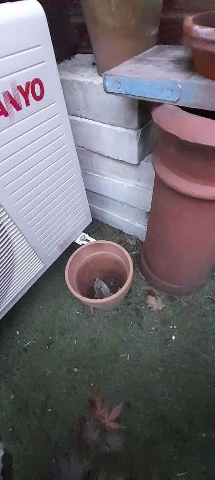 Photo of free Building blocks. (Welling DA16) #3