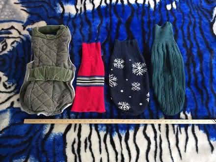 Photo of free Pet Clothing (West 7th) #2